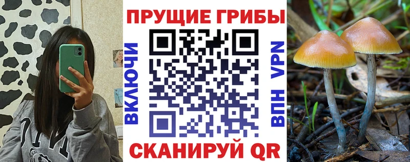 Галлюциногенные грибы мицелий  наркошоп  Куйбышев 